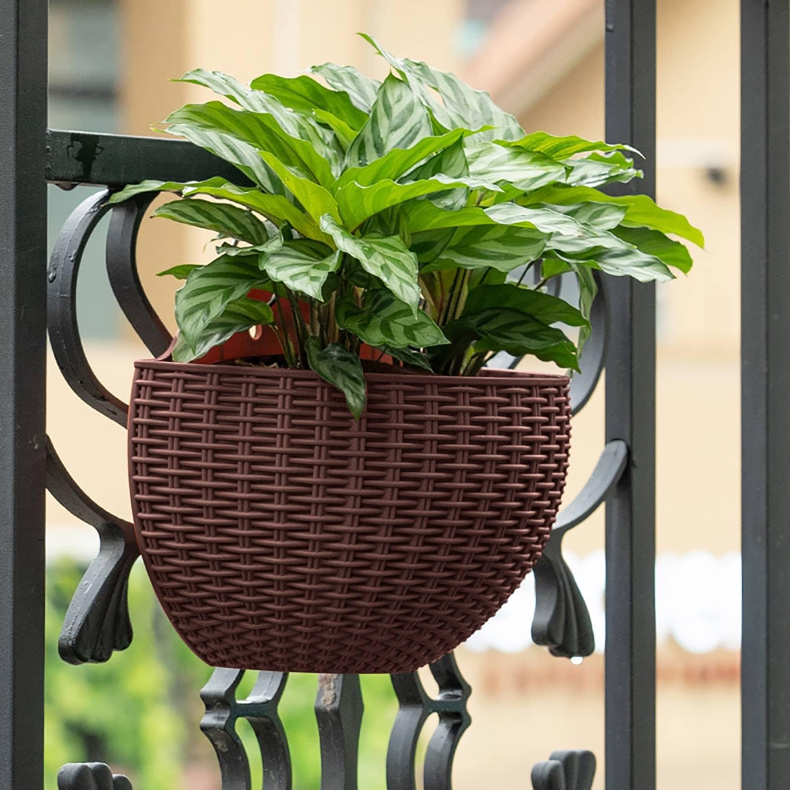 Amazon.co.jp: ハーフムーンハンギングプランター - 壁掛け植木鉢、半